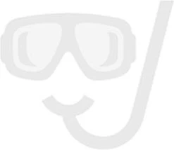 Douchegoot RVS FLENS - 80 CM - Met Uitneembaar Sifon & Uitneembaar Haarfilter -Grohe Winkel 1200x1042