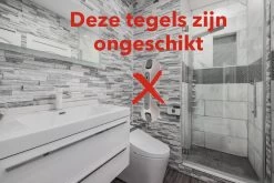 2 Stuks Supersterke Veiligheidsgrepen Voor Badkamer Douche, Bad, Toilet Met Sterke Zuignappen -Grohe Winkel 1200x800 30