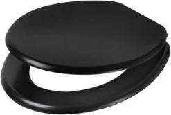 Plieger Classic Toiletbril – Wc Bril Zwart Gelakt MDF – Wc Brillen Met Deksel – Met Bevestigingsset -Grohe Winkel 1200x806 1