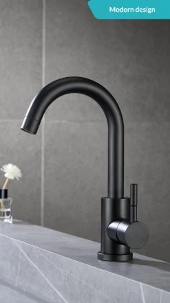 Wastafelkraan Zwart - Keukenkraan - Kraan - Badkamerkraan -Grohe Winkel 674x1200 5