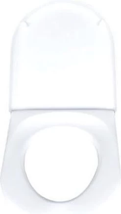 Duravit Starck 3 Closetzitting 0063890000 -Grohe Winkel 679x1200