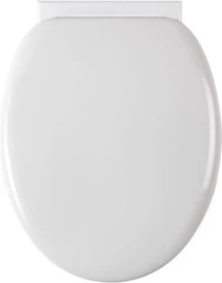 SCHÜTTE WC-Bril 10220 DUROPLAST - Antibacterieel - Soft Close - Gelakt - Wit -Grohe Winkel 940x1200 3